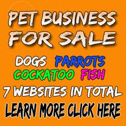 business for sale business for sale